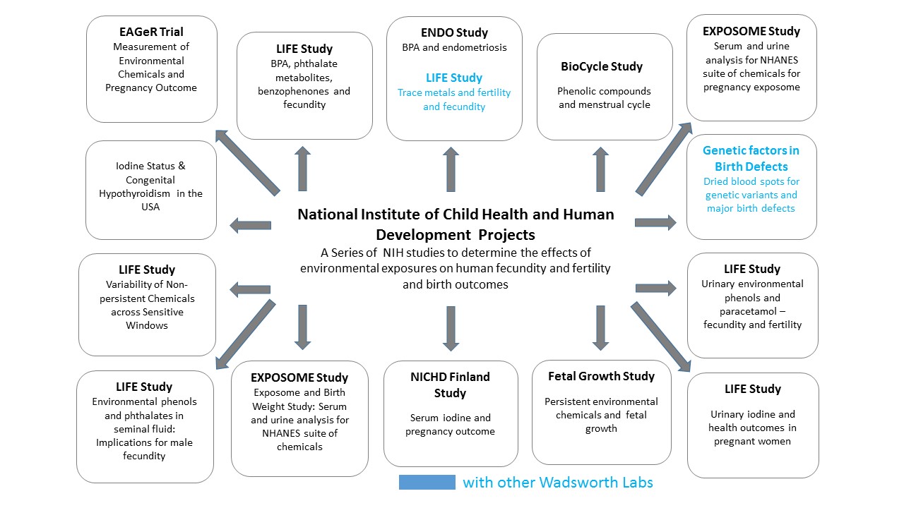 NICDH Projects