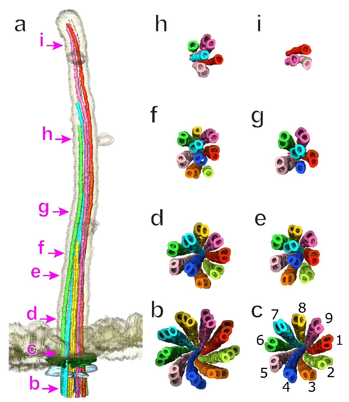 Figure 3 3D EM