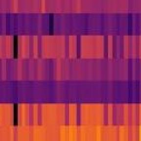 Cytokine Heat Map